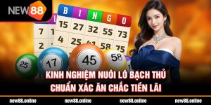 Kinh nghiệm nuôi lô bạch thủ chuẩn xác ăn chắc tiền lãi