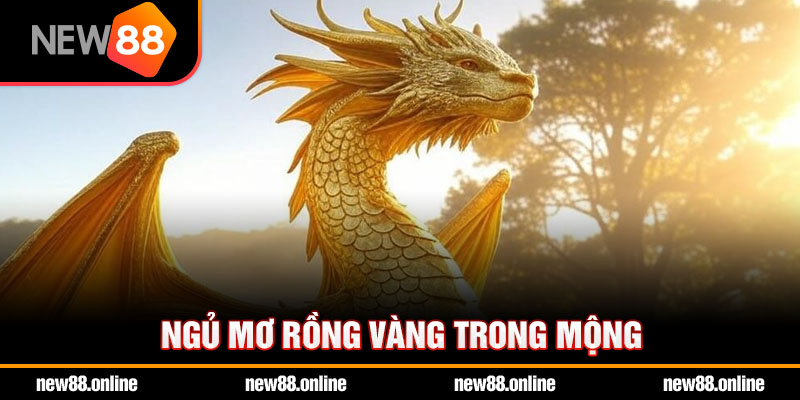 Ngủ mơ rồng vàng trong mộng