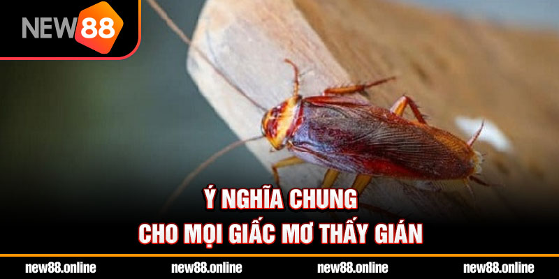 Ý nghĩa chung cho mọi giấc mơ thấy gián